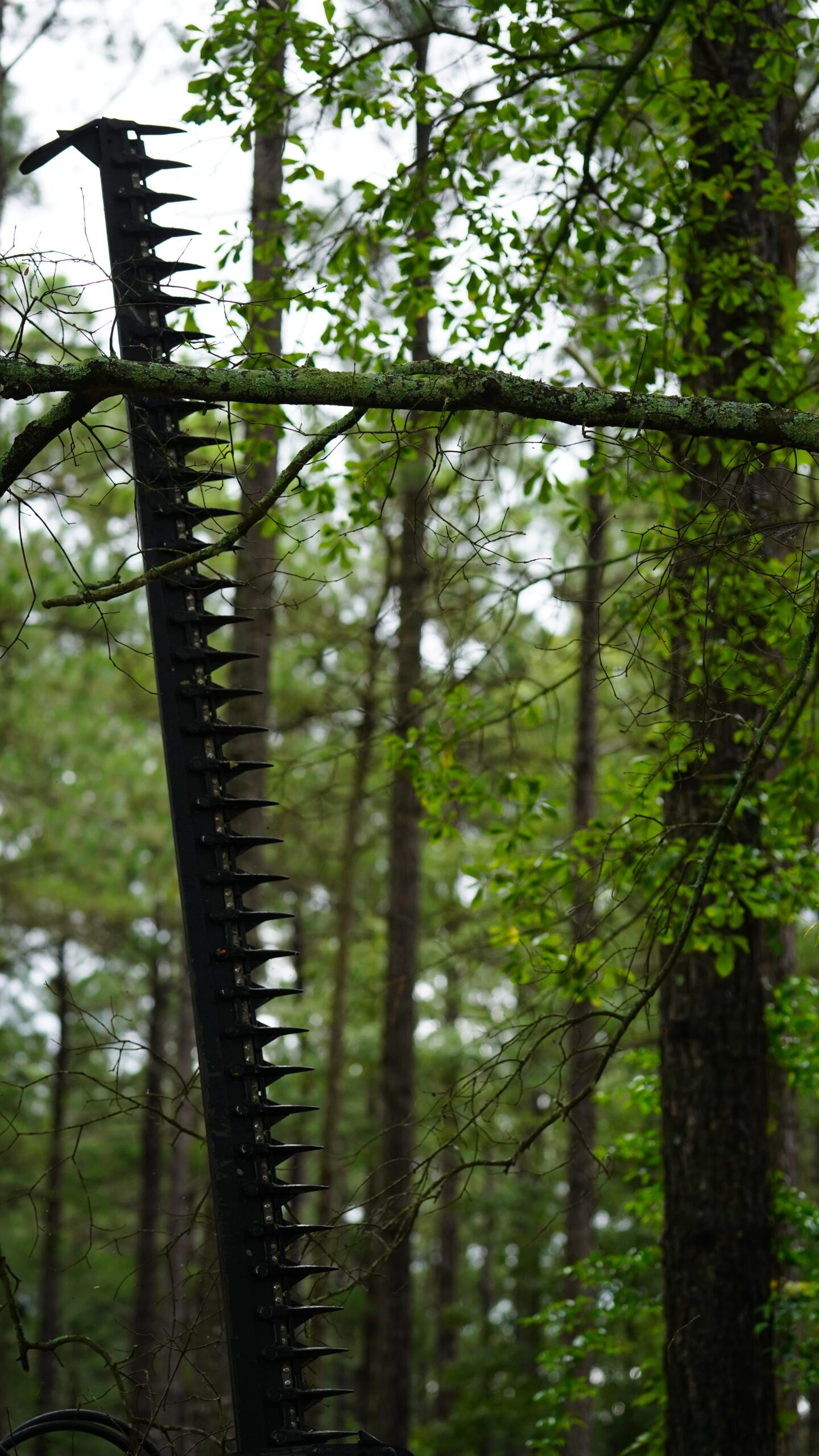 Eterra Sickle Bar Mower - Image 9